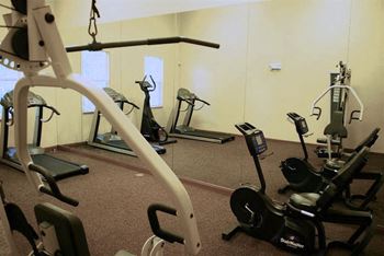 Gym with cardio and weight  